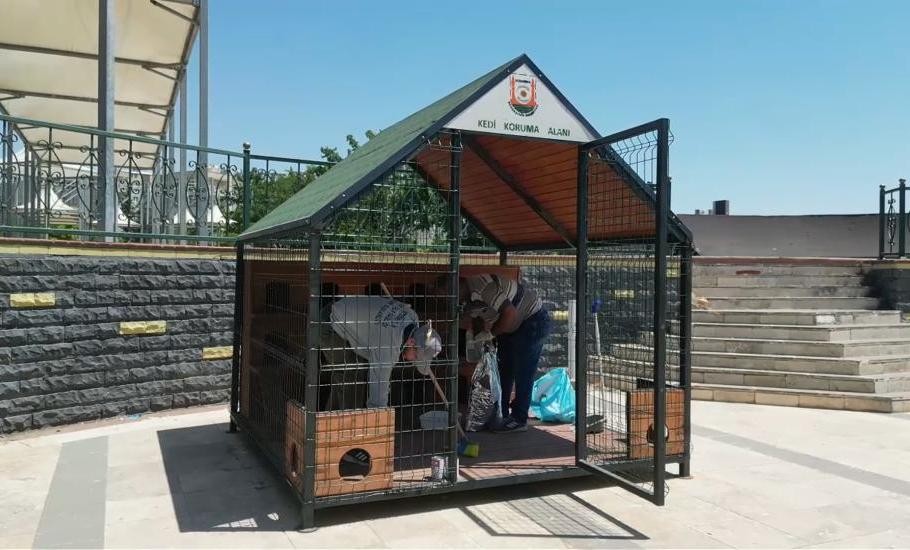 Şanlıurfa’nın 11 Farklı Noktasına 12 Kedi Evi Kuruldu- Şanlıurfa Büyükşehir Belediyesi