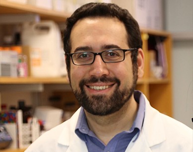 Prof. Dr. Emrah Altındiş Kimdir? Biyografisi ve Bilimsel Çalışmaları